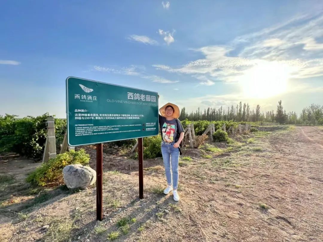 学术专著丨夏薇，中国情境下的葡萄酒旅游具身体验内涵、量表及行为意向影响研究- 酒展|2025中国进口葡萄酒展|红酒展|洋酒展会-